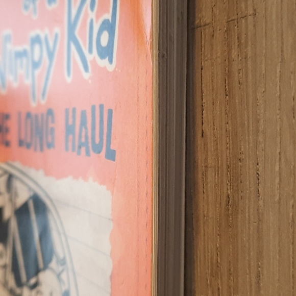 Secret Journal Diary of a wimpy kid - Picture 7 of 7